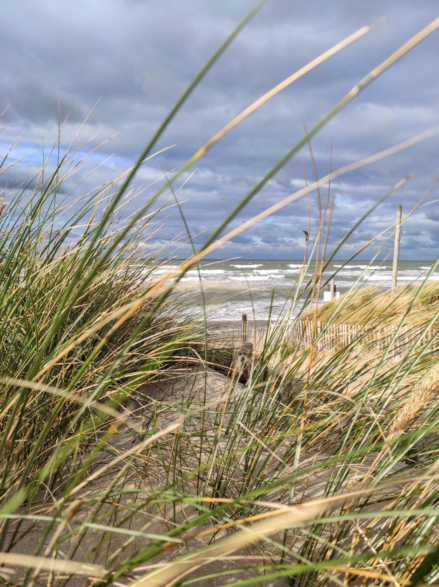 Maison Familiale De Vacances Bray-Dunes Eksteriør billede
